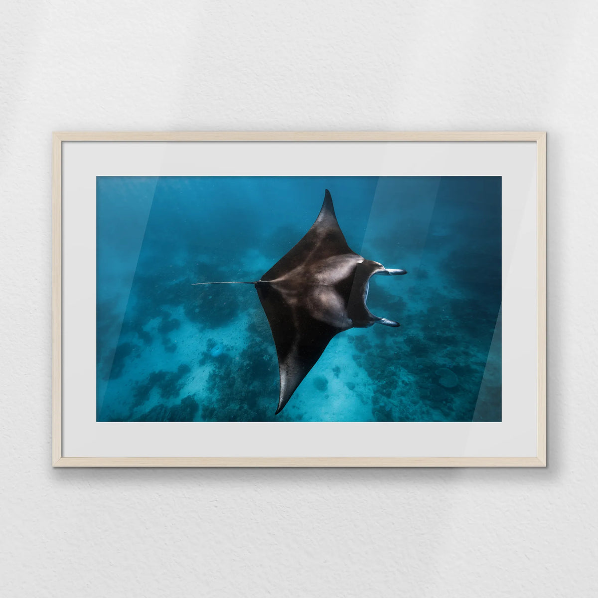 PNP093W062