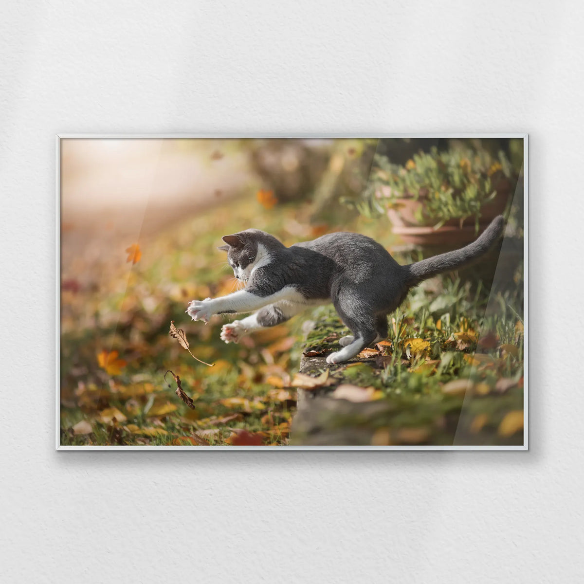 PS-093W062