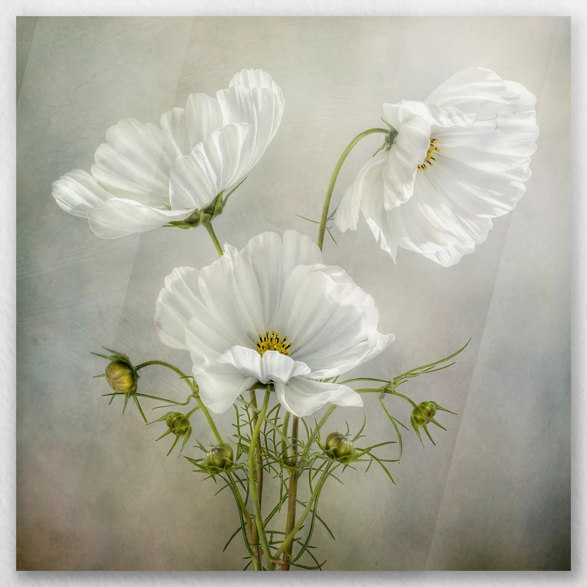AC-040W040