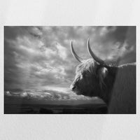 PO-030W020