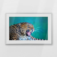 PSP093W062