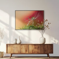 PB-093W062
