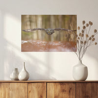 PO-060W040