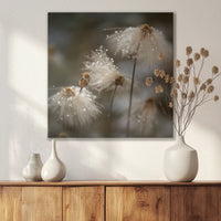 LW-050W050