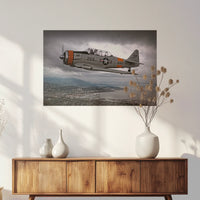 PO-075W050