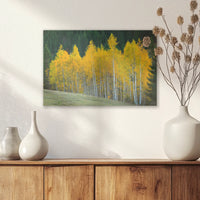AC-030W020