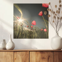 PO-030W030