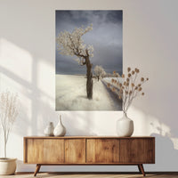 PO-080W120