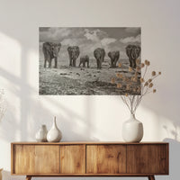 PO-075W050