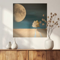 PO-050W050