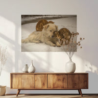 PO-090W060
