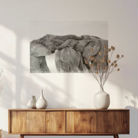 PO-075W050
