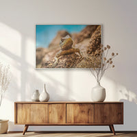PS-093W062