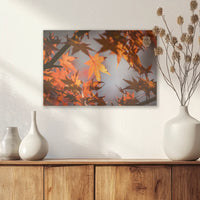 AC-045W030