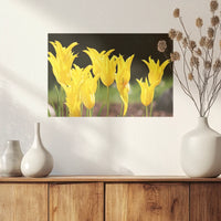 PO-045W030