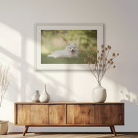 PWP093W062