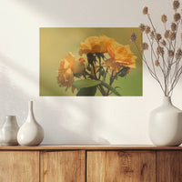 PO-045W030