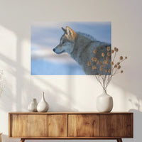 PO-075W050