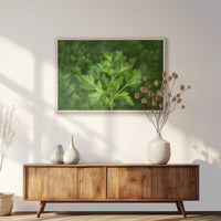 PN-093W062