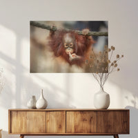 PO-075W050
