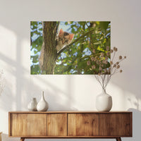 PO-075W050