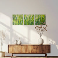 AC-150S050