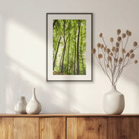 PBP040W060