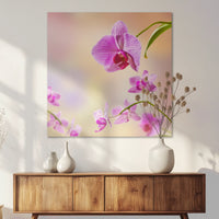 AC-070W070