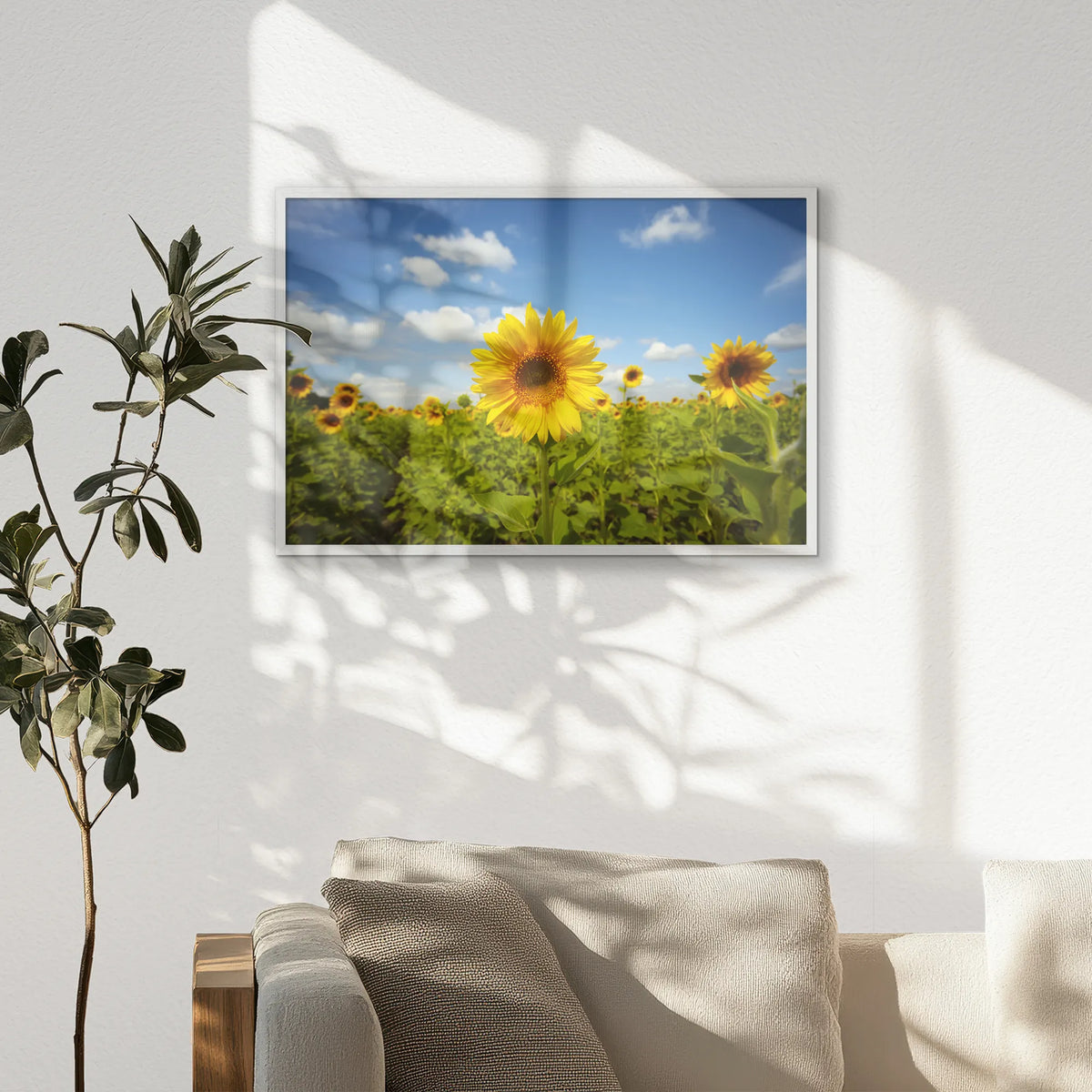 PW-093W062