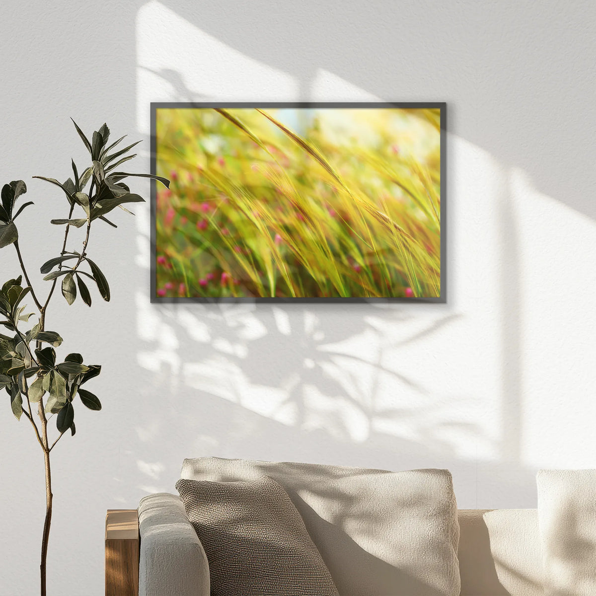PK-093W062