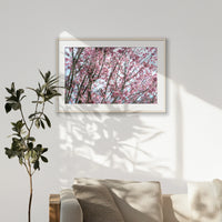 PNP100W070