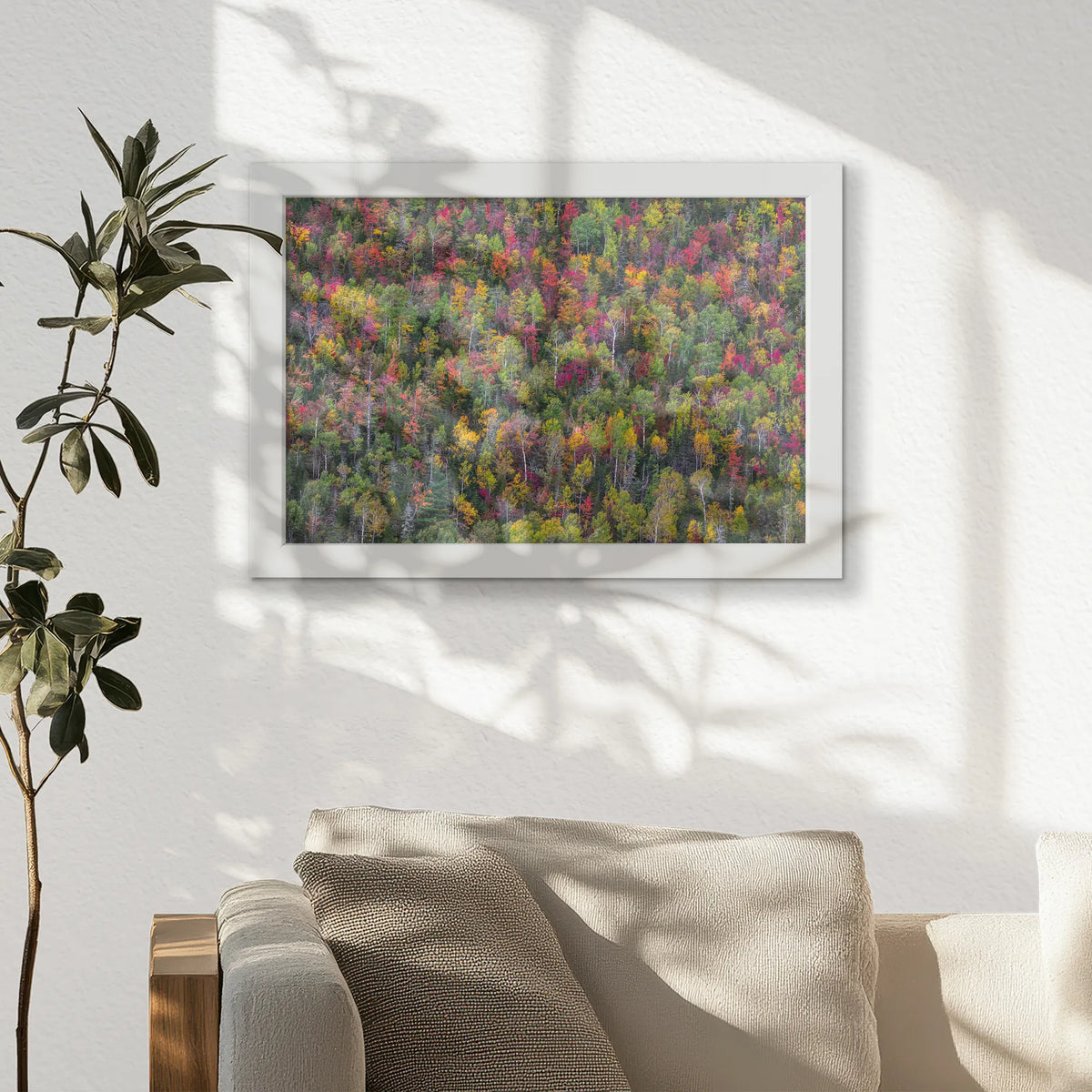 LWW030W020