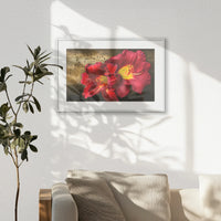 PSP060W040
