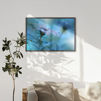 LWN100W070