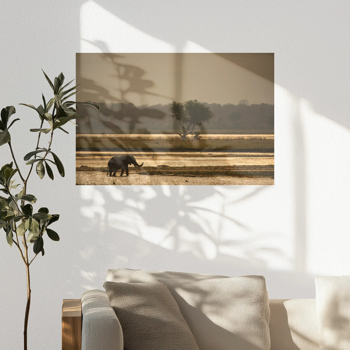 PO-075W050