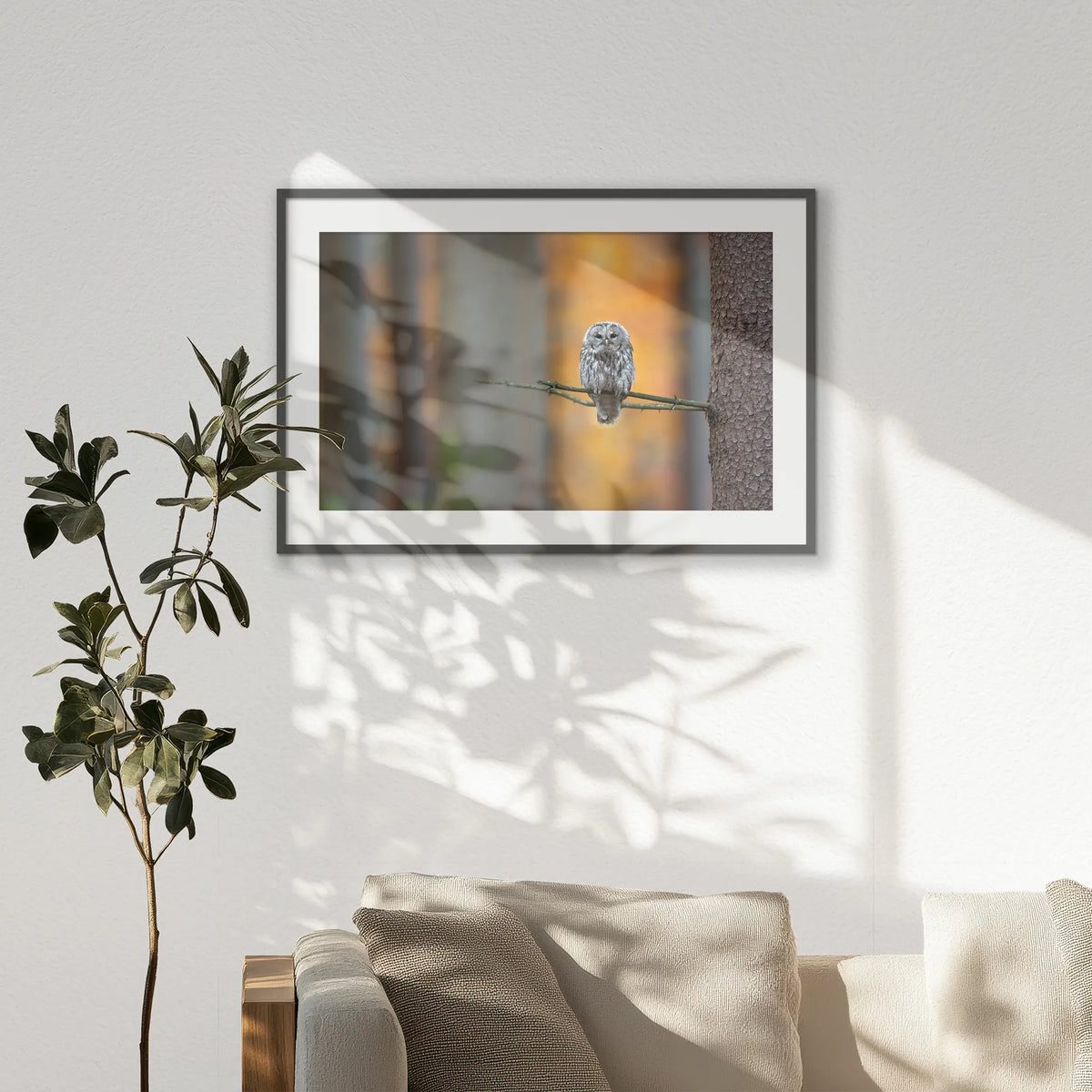 PKP100W070