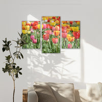 LW-120T080
