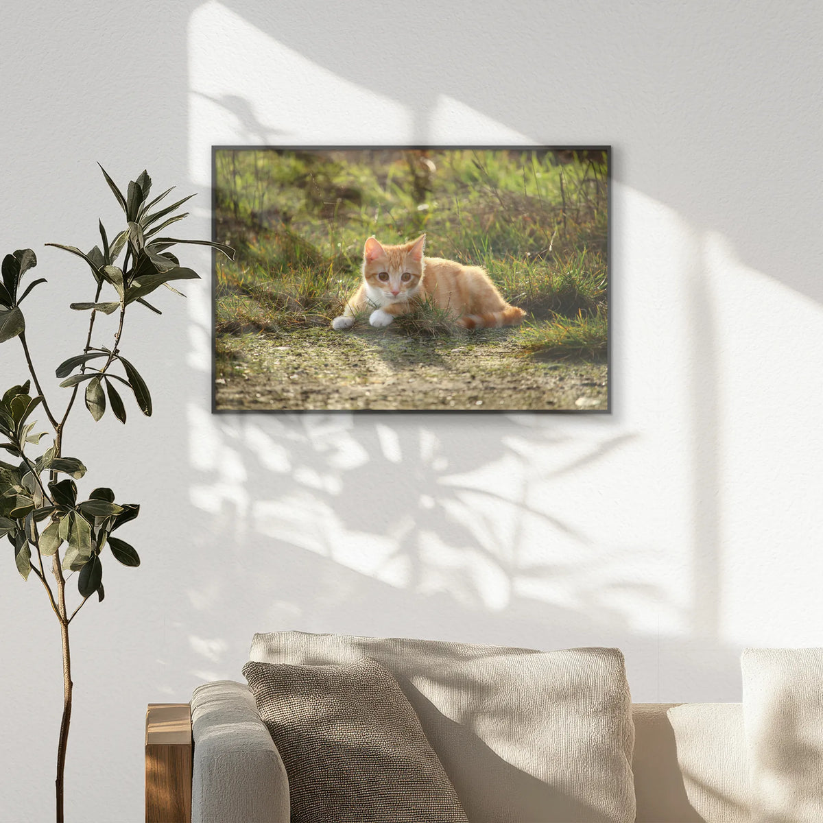 PB-093W062