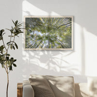 PN-060W040