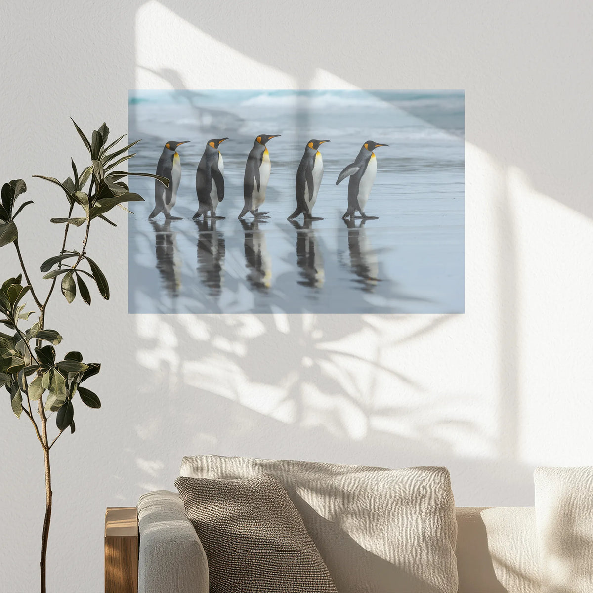 PO-075W050
