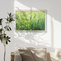 PN-060W040