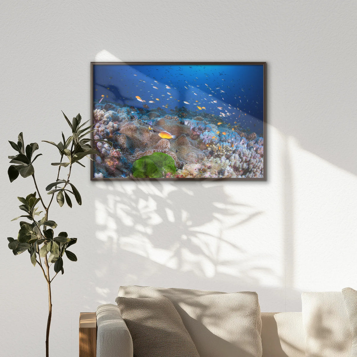 LWN100W070