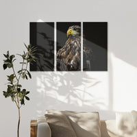 AC-120R080