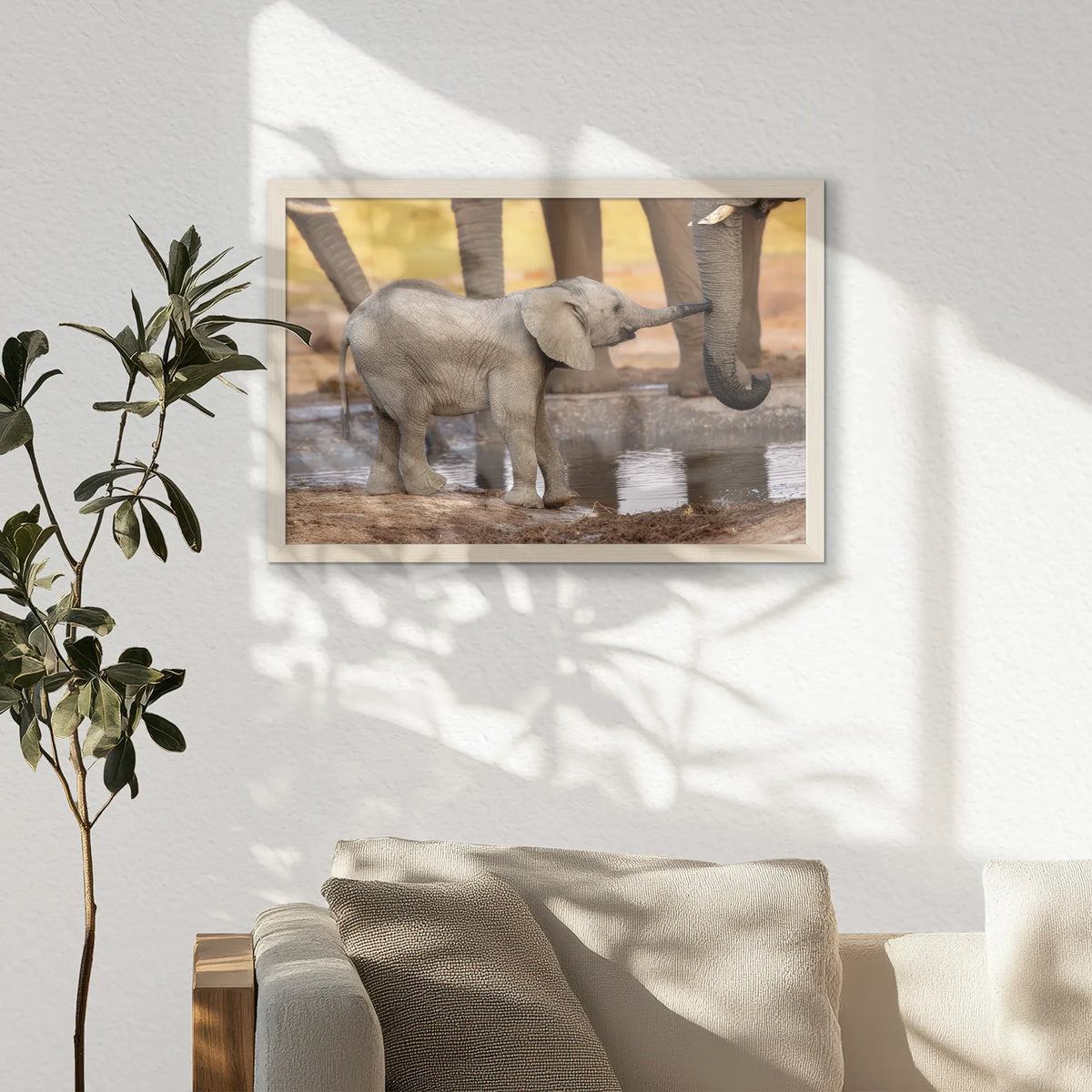 PN-060W040