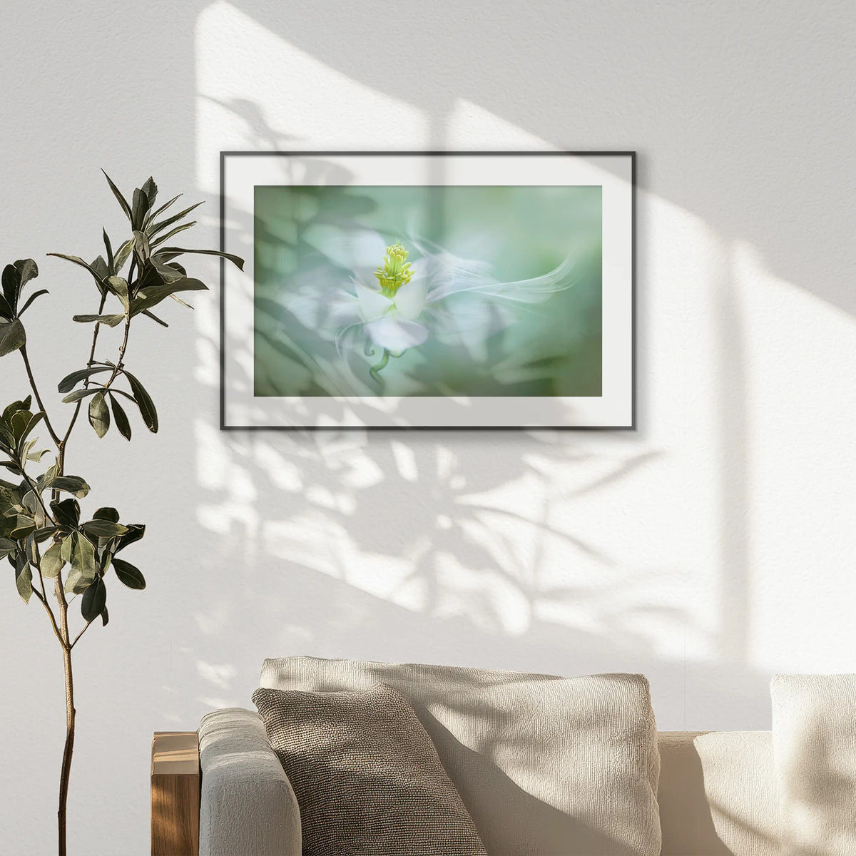 PBP093W062