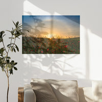 PO-075W050