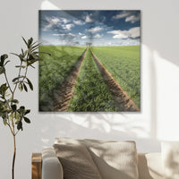 LW-070W070