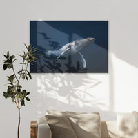 LW-120W080