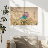 PO-030W020
