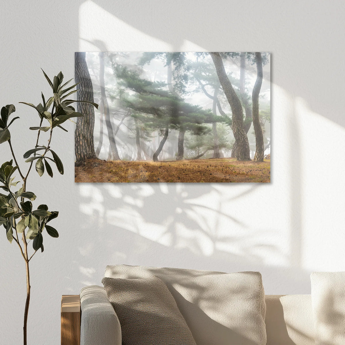 AC-075W050